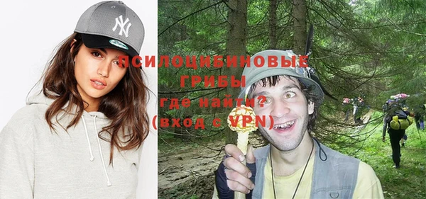 PSILOCYBIN Алексин