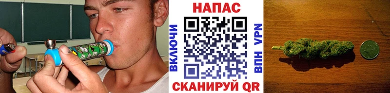 Конопля тримм  blacksprut онион  Циолковский  где можно купить наркотик 